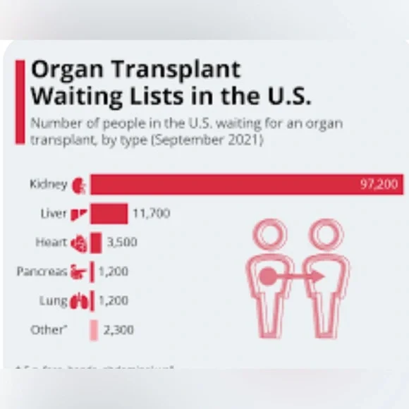 Earnings go directly to expenses for my kidney transplant & anti-rejection Rx’s - Picture 3 of 12